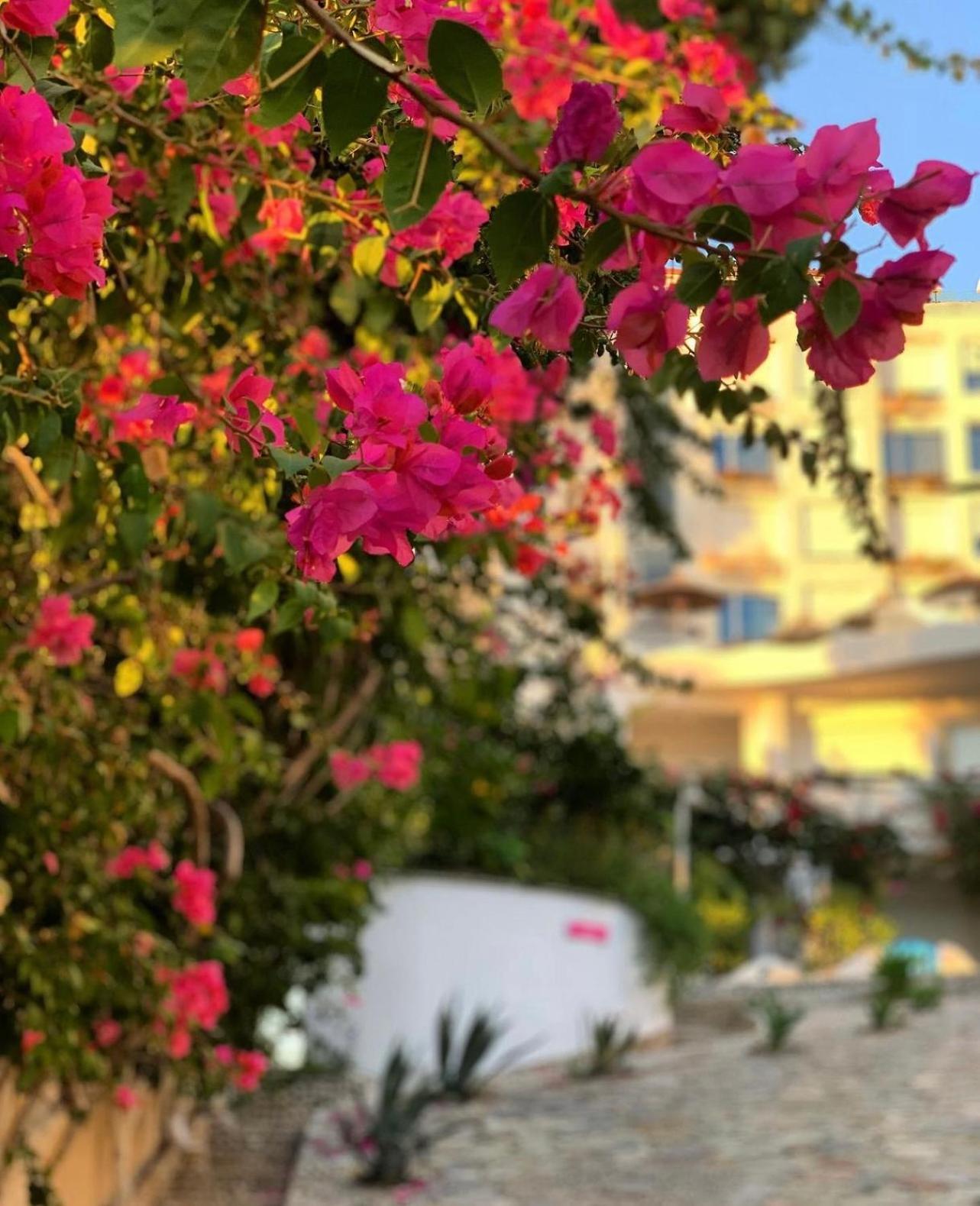 Bellavista Apartments Bougainville Bay Sarandë Exteriér fotografie