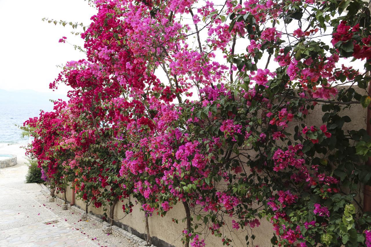 Bellavista Apartments Bougainville Bay Sarandë Exteriér fotografie